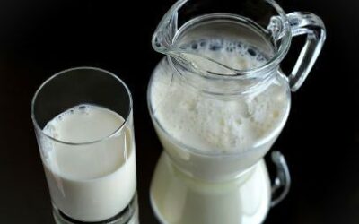¿Es buena la leche de vaca?