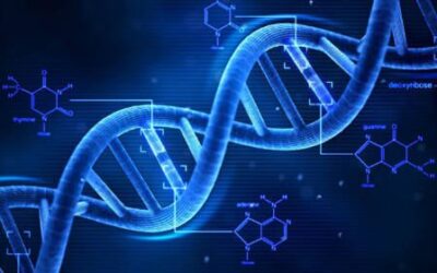 ¿Nuestro destino está determinado por nuestros genes?